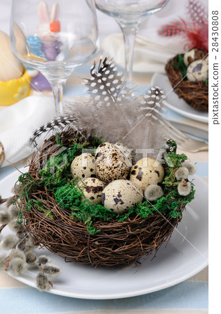 Quail easter eggs in a nest on wooden table Quail easter eggs in a nest on wooden table 28430808