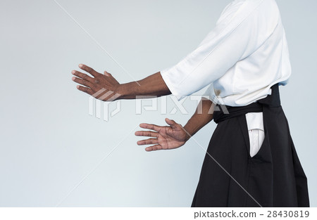 Martial arts Master in black hakama Martial arts Master in black hakama 28430819