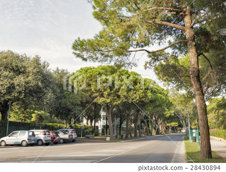 Lido Santa Maria Elisabetta street, Italy. 28430894