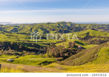 California Coastal Mountain Landscape in Spring 28431618