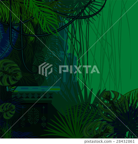 Tropical spinney foliage jungle nature background. 28432861