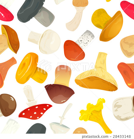 Vector seamless pattern with mushrooms 28433148