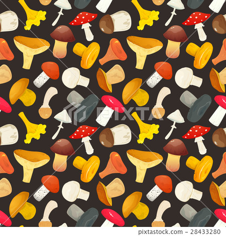 Vector seamless pattern with mushrooms 28433280