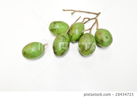 Olive fruit 28434725