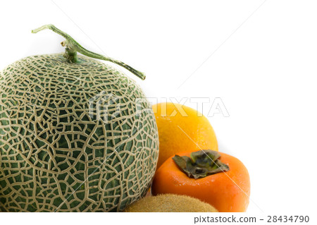 Cantaloupe Melon isolated Cantaloupe Melon isolated 28434790