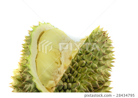 Durian king of fruit Durian king of fruit 28434795
