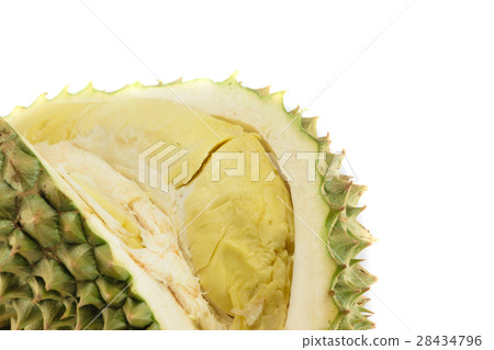Durian king of fruit Durian king of fruit 28434796