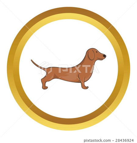 Brown dachshund dog vector icon Brown dachshund dog vector icon 28436924