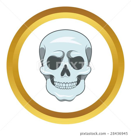 Skull vector icon 28436945