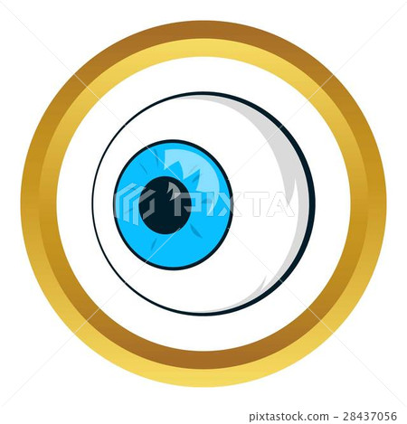 Eyes vector icon 28437056