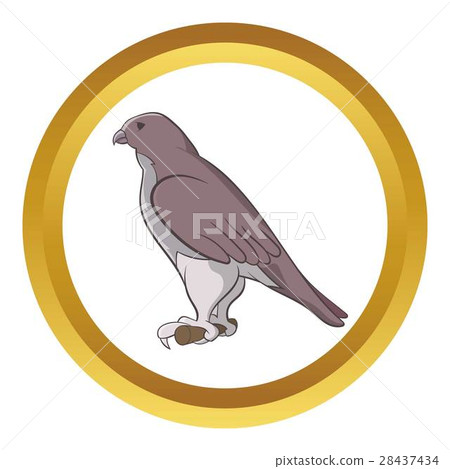 Falcon vector icon 28437434