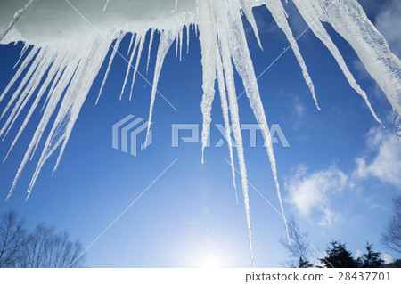 Icicle and sun 28437701