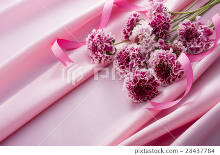 Spring flower  28437784