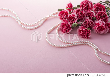 Carnation Carnation 28437819