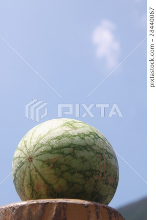 A watermelon 28440067