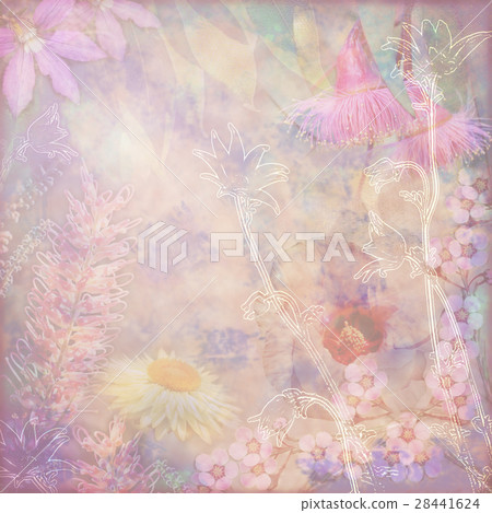 Vintage floral background of Australian flowers 28441624