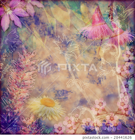 Vintage floral background of Australian flowers 28441626