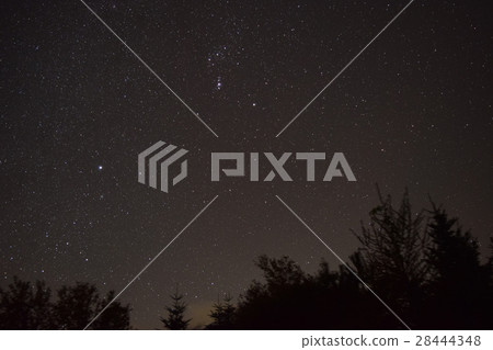 全國家庭節紀念廣場星空 28444348