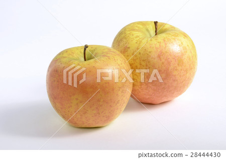 Apple (Sun Venus) Apple (Sun Venus) 28444430