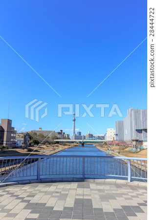 東京天空樹從Fureai橋（前中川）看 28444722
