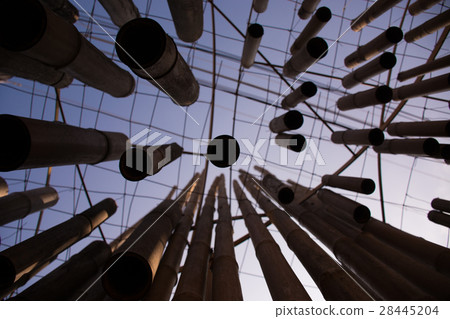 Bamboo to sky Bamboo to sky 28445204