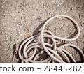 Dried garden hose pipe, no water, climate change 28445282