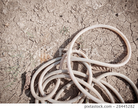 Dried garden hose pipe, no water, climate change 28445282