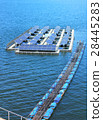 Solar cell generator or solar panel 28445283