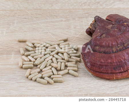 Ganoderma lucidum capsule - Ling zhi mushroom 28445718