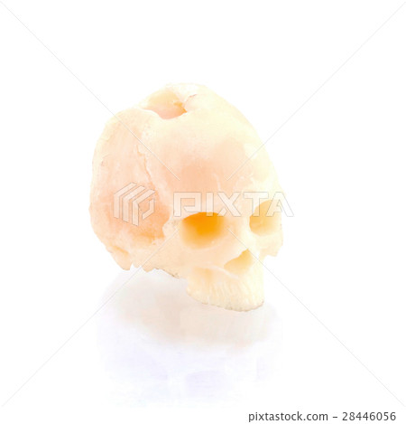 Human skull on isolated white background Human skull on isolated white background 28446056