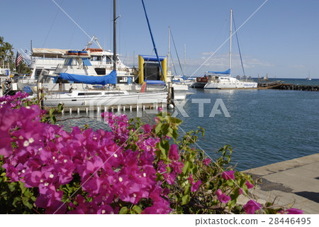 Port of Lahaina Port of Lahaina 28446495