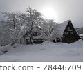 White landscape 28446709
