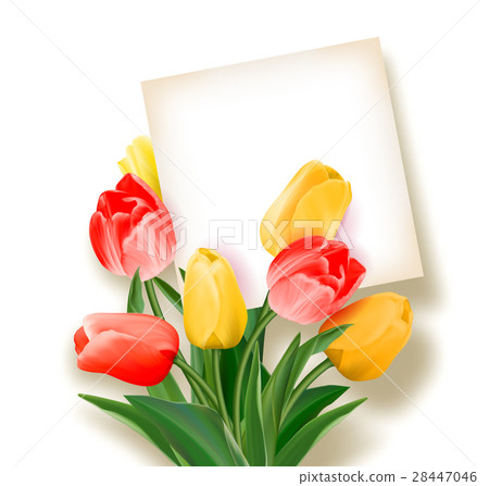 Bouquet of tulips with a card inside. Space for Bouquet of tulips with a card inside. Space for 28447046