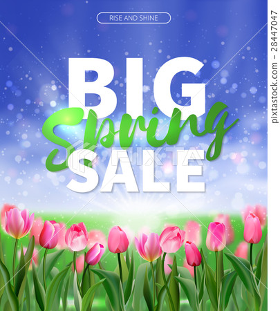Spring sale Background with tulips and daisies EPS Spring sale Background with tulips and daisies EPS 28447047