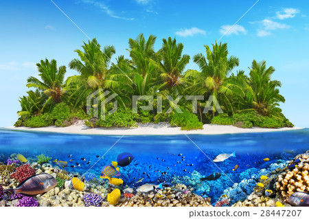 Island in Ocean and beautiful underwater world. Island in Ocean and beautiful underwater world. 28447207