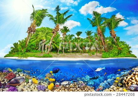 Island in Ocean and beautiful underwater world. Island in Ocean and beautiful underwater world. 28447208
