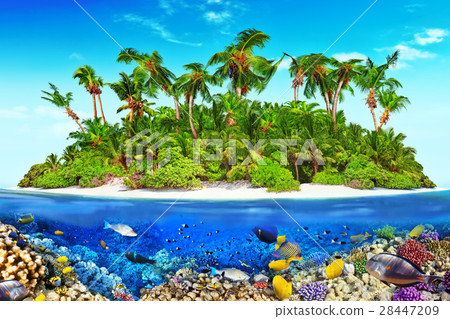 Island in Ocean and beautiful underwater world. Island in Ocean and beautiful underwater world. 28447209