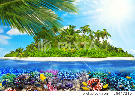 Island in Ocean and beautiful underwater world. 28447210
