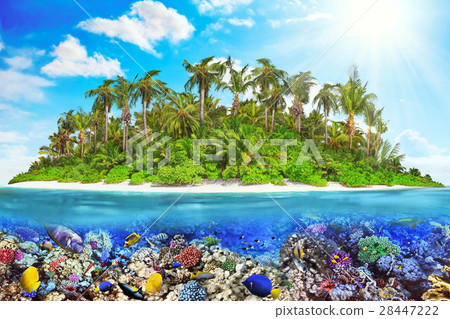 Island in Ocean and beautiful underwater world. 28447222