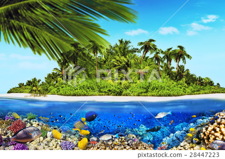 Island in Ocean and beautiful underwater world. 28447223