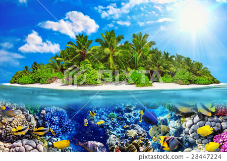 Island in Ocean and beautiful underwater world. Island in Ocean and beautiful underwater world. 28447224