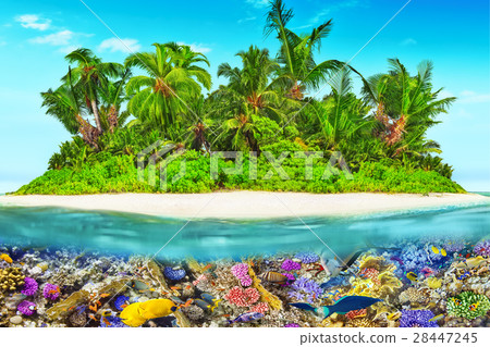 Island in Ocean and beautiful underwater world. 28447245