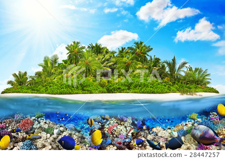 Island in Ocean and beautiful underwater world. Island in Ocean and beautiful underwater world. 28447257