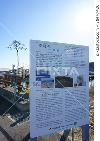 Miraculous Monobatu Rikuzentakata today in the affected area 28447426