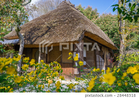 Kyoto Okinikado Spring 28448318