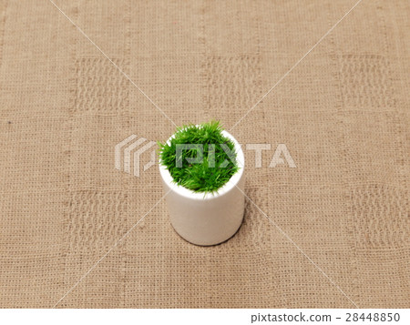 Small bowl moss (chemically treated with natural moss) Small bowl moss (chemically treated with natural moss) 28448850