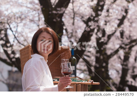 櫻花和中年婦女和酒杯 28449570