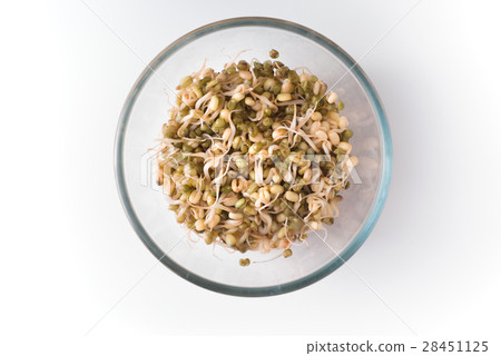 Germinated beans in a  bowl copy space isolated 28451125