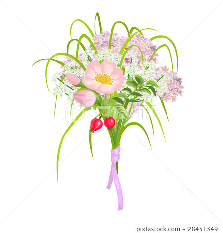 Beautiful and elegang Pink Flowers isolated 28451349