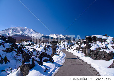 [Gunma Prefecture] Winter Onioshidashi Park and promenade 28452350